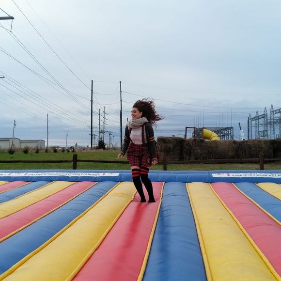 Meet your Posher, Ziggy - Picture 1 of 1